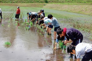 田植え