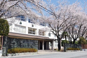 二松學舍大学附属柏中学校 桜