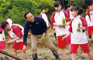 田植え