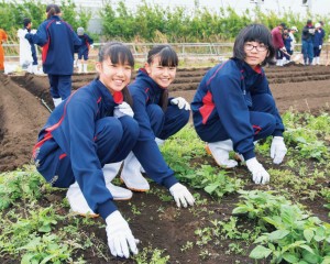 自分達で育てた野菜を収穫。命のありがたみを学びます。