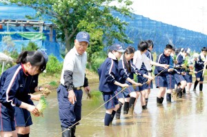 「田んぼの教室」では５月の田植えから９月の稲刈りまで成長を見守り、「いのちのつながり」を考える