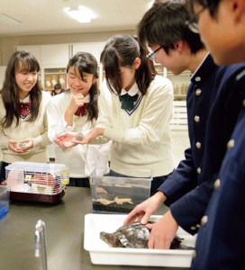 男女仲良く活動する生物部