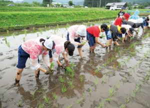 さまざまな体験を重視するプログラム「トリニティーキャンプ」を展開。中1では田植え体験をし、秋には稲刈りも