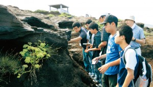 千葉大学の准教授と三宅島の巡検から学ぶ火山学！！  文部科学省SPP指定校　ゴア元副大統領のグローブ活動に参加！！