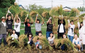 地元の田んぼで稲刈り体験。機械ではなく、手で刈ることに四苦八苦しながらも達成感を感じたそう