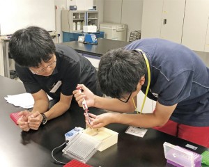 大学理系学部のキャンパスで実施するワンデーサイエンスカレッジ