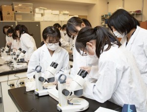 「実物主義」の理科教育。実験・観察の時間が充実