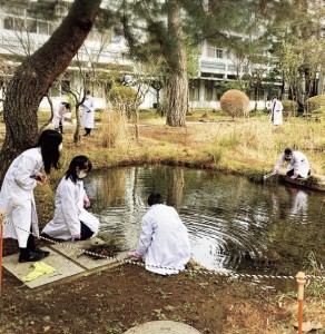 部員みんなでビオトープの池とその周囲の木や草の管理を。周囲の草花や虫などの生き物も観察する