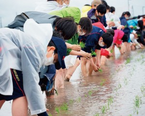 「普段、自然に触れ合うことが少ないので、良い経験になりました」（K・Sさん）