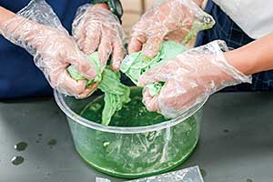 中2の探究授業で取りくんだ「藍染プロジェクト」