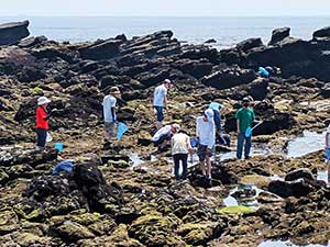 地形や生息生物を観察した城ヶ島でのフィールドワーク