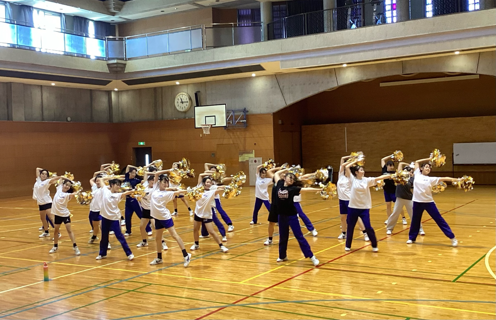 アレセイア湘南中学校