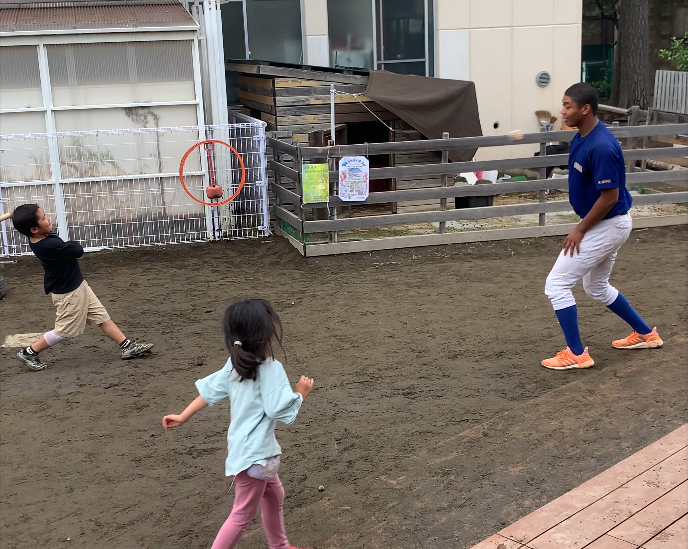 アレセイア湘南中学校