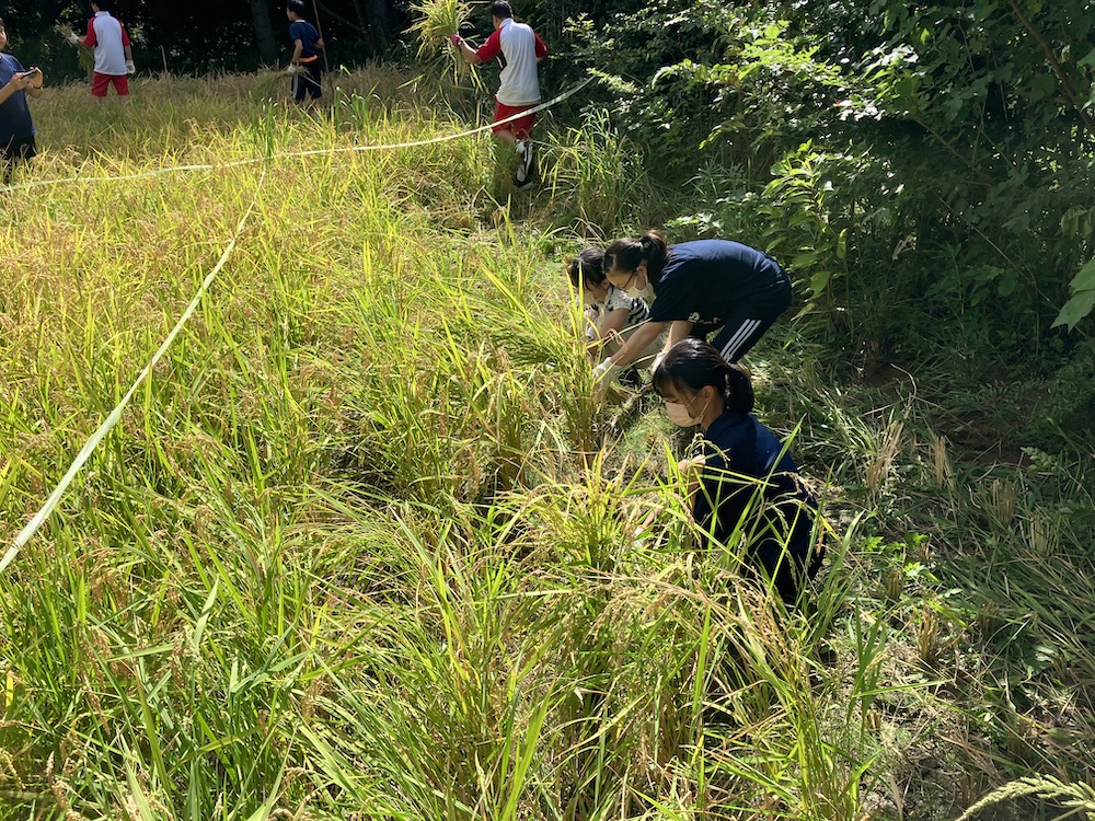 千葉明徳中学校