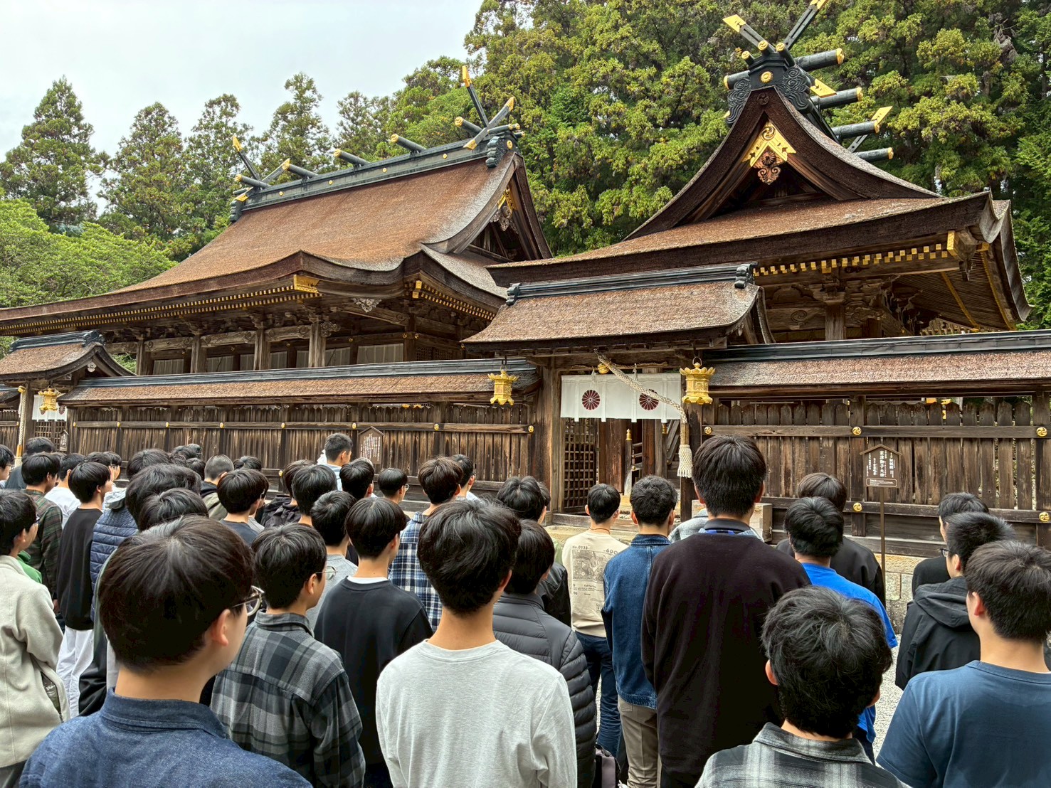 藤嶺学園藤沢中学校