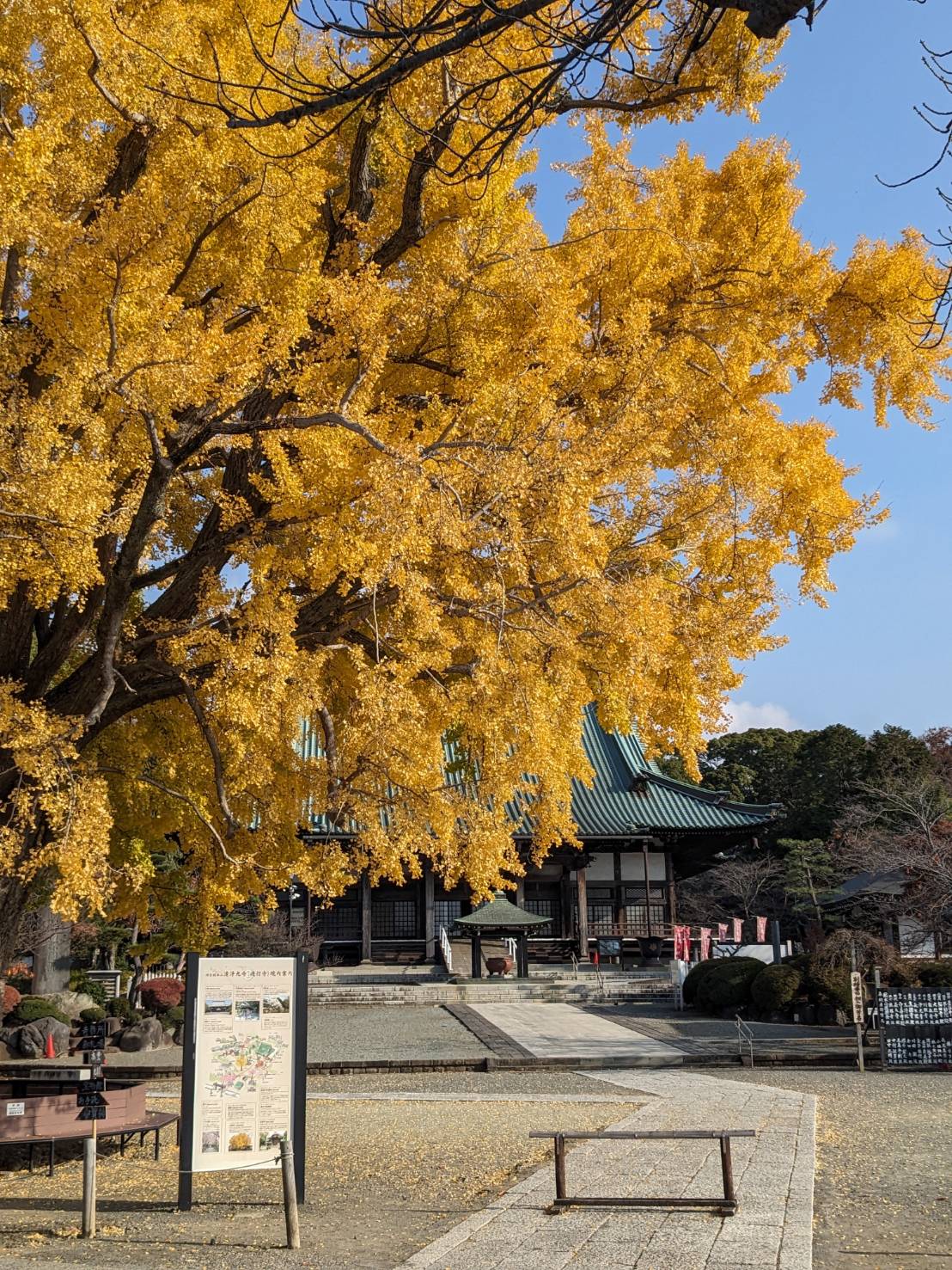 藤嶺学園藤沢中学校