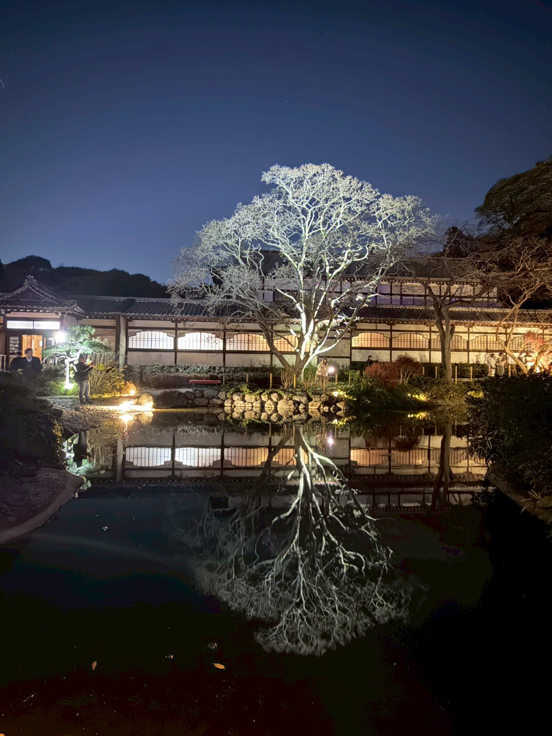 藤嶺学園藤沢中学校