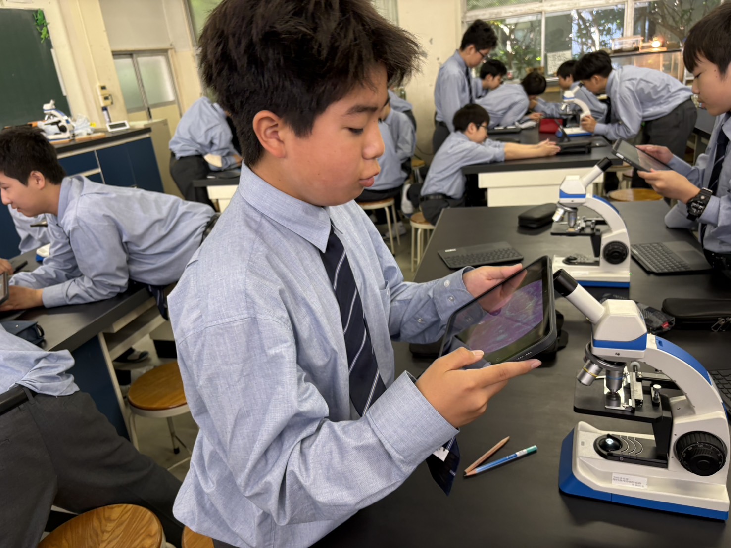 藤嶺学園藤沢中学校