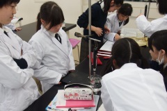 サレジアン国際学園世田谷中学校