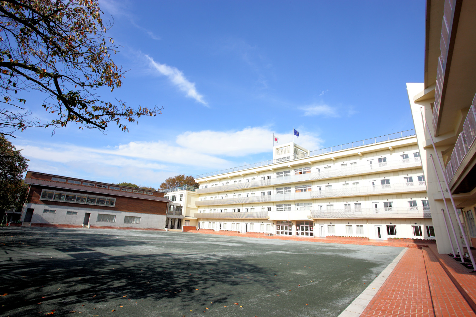 八雲学園中学校