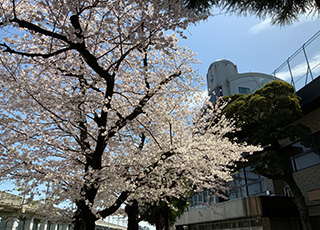 瀧野川女子学園中学校