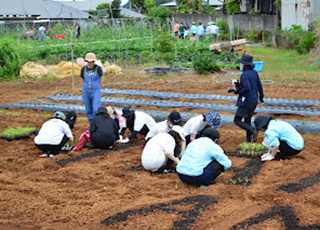 瀧野川女子学園中学校
