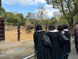 瀧野川女子学園中学校