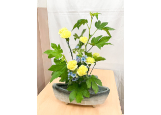 瀧野川女子学園中学校
