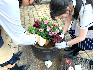瀧野川女子学園中学校
