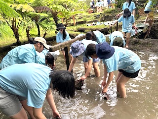 瀧野川女子学園中学校