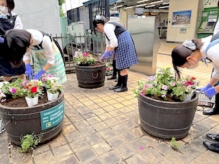 瀧野川女子学園中学校