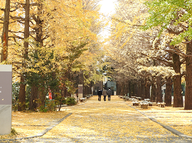 日本大学第二中学校