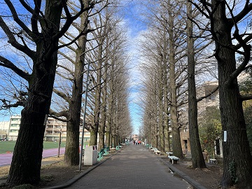 日本大学第二中学校