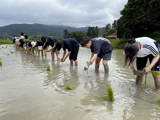 ドルトン東京学園中等部・高等部