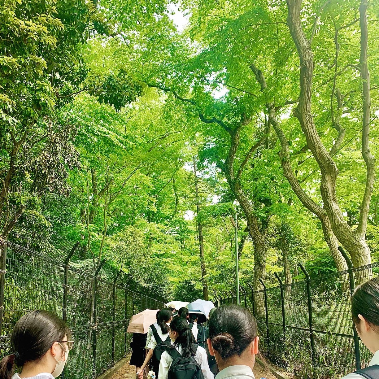 晃華学園中学校高等学校