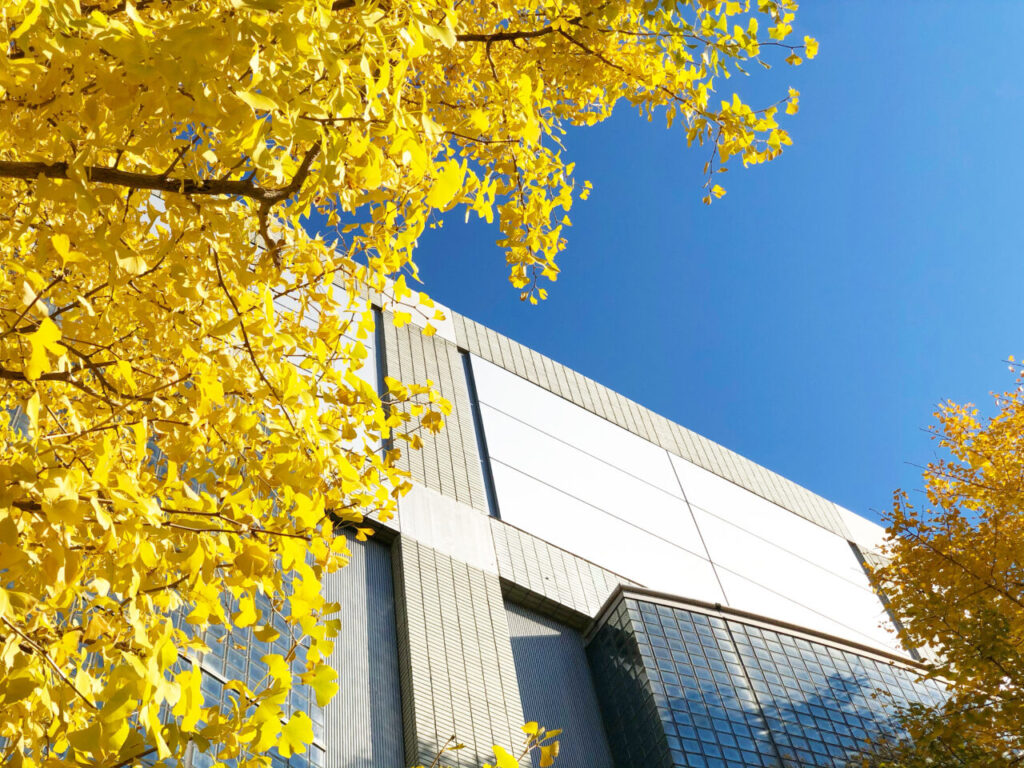 佼成学園女子中学高等学校