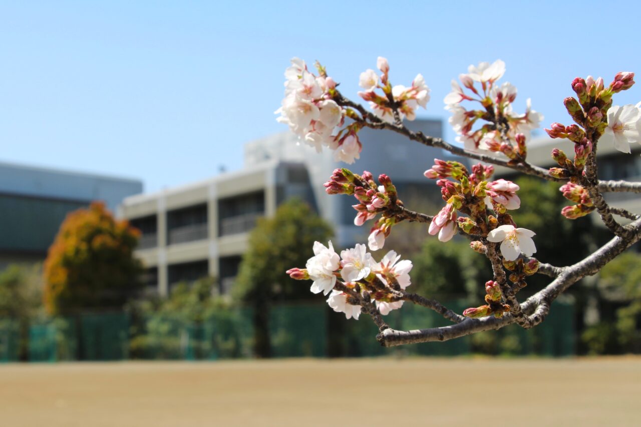 佼成学園女子中学高等学校