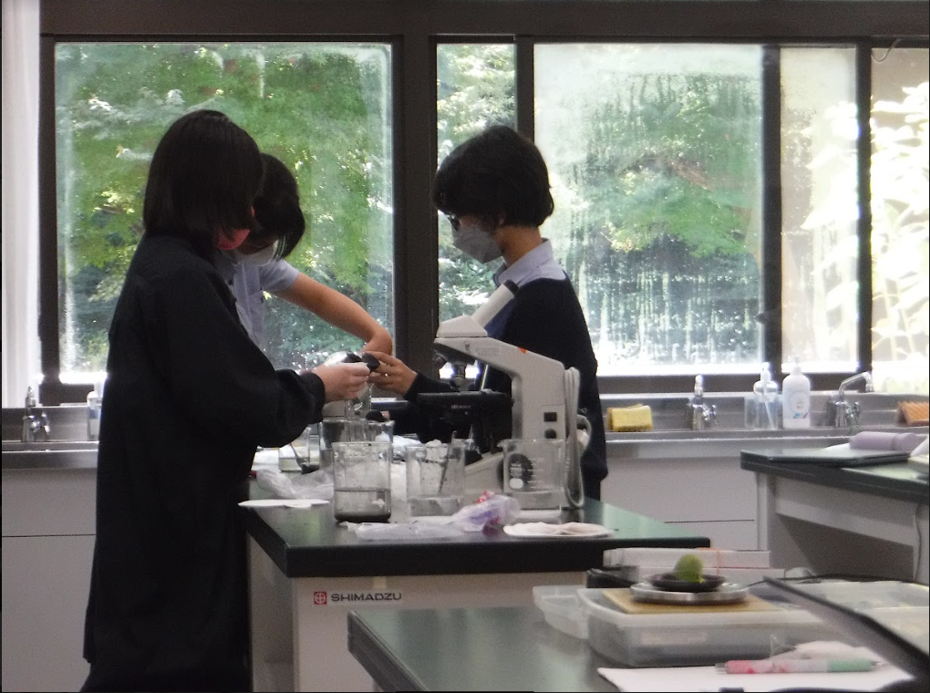 湘南白百合学園中学校