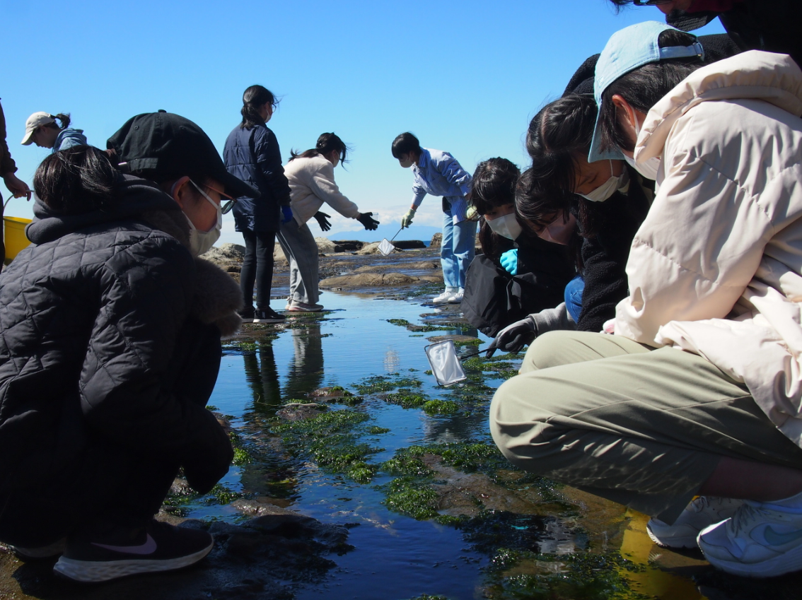 湘南白百合学園中学校