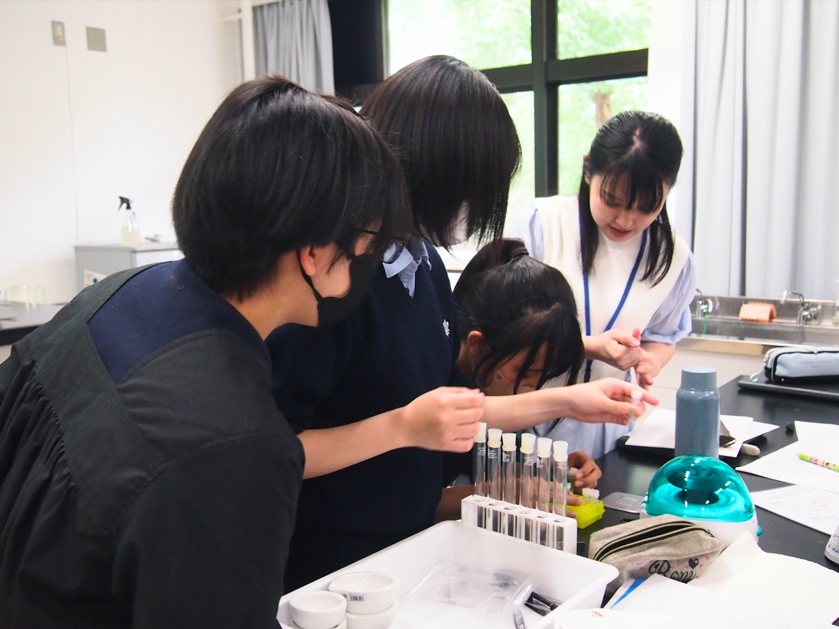 湘南白百合学園中学校
