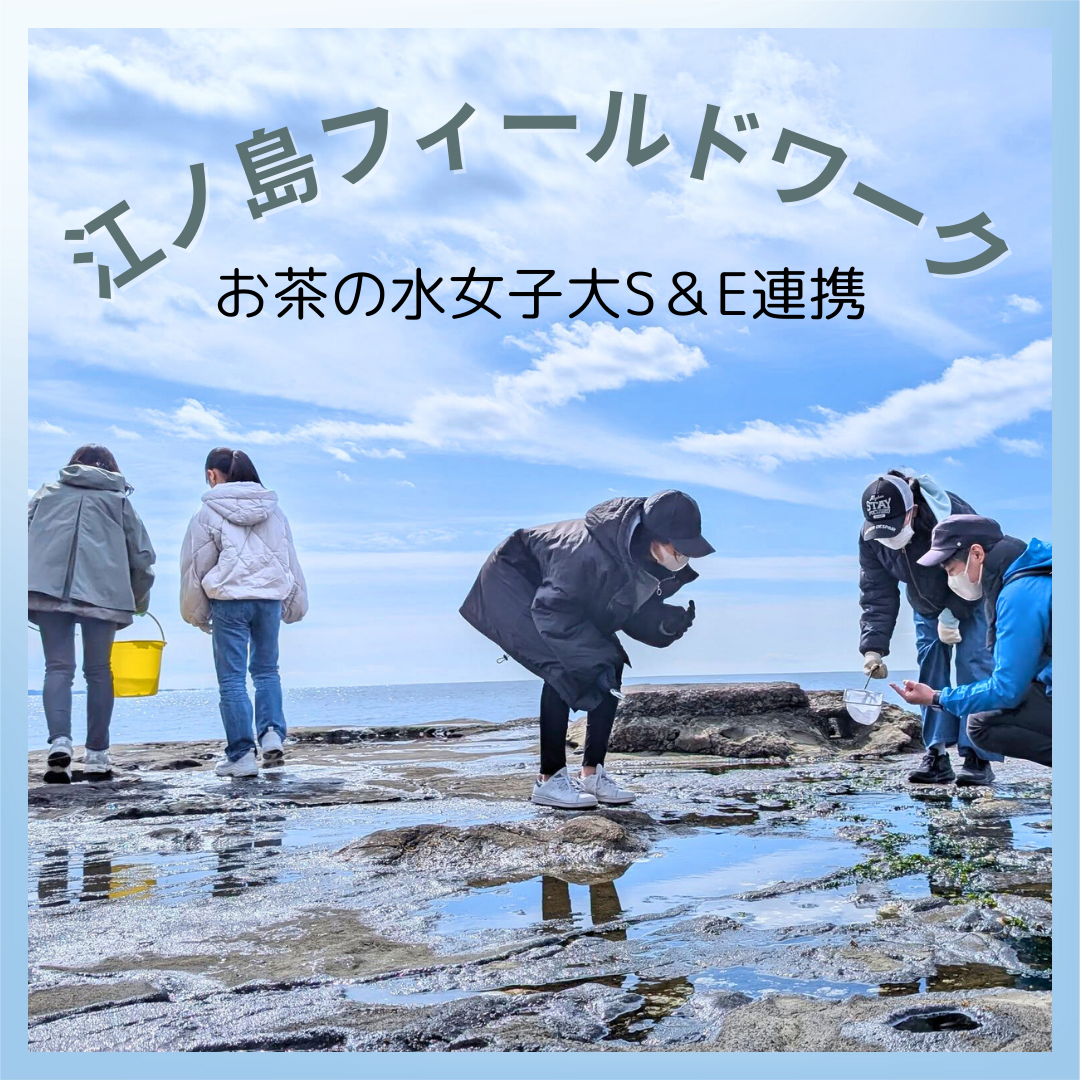 湘南白百合学園中学校