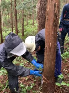 城北埼玉中学校
