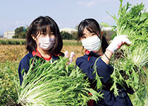 日本大学藤沢中学校