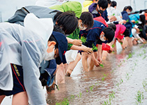 駒込中学校