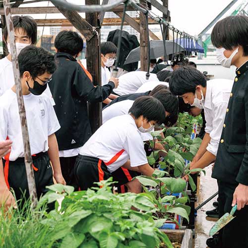 獨協中学校