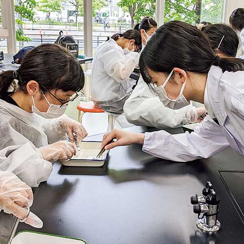 芝浦工業大学附属中学校