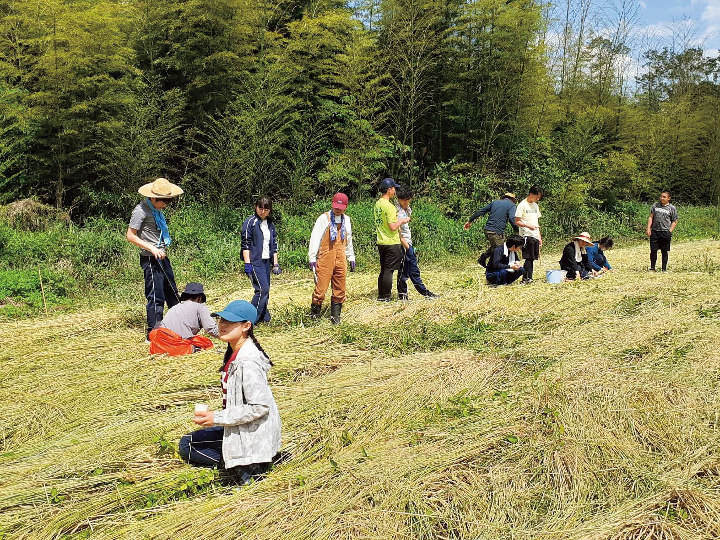 自由学園中等科（男子部・女子部）