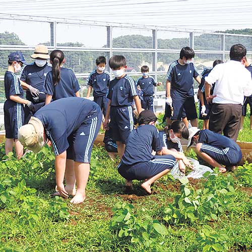 東京農業大学第三高等学校附属中学校