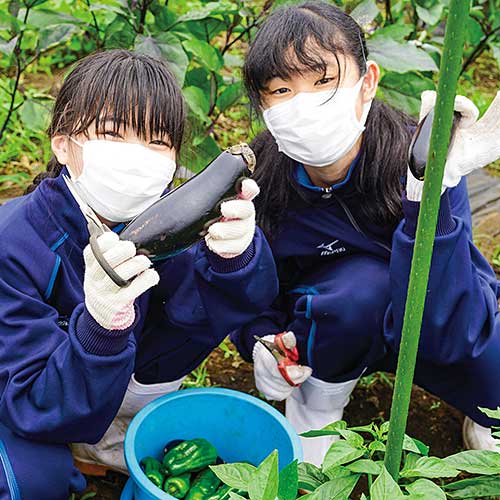 日本大学藤沢中学校