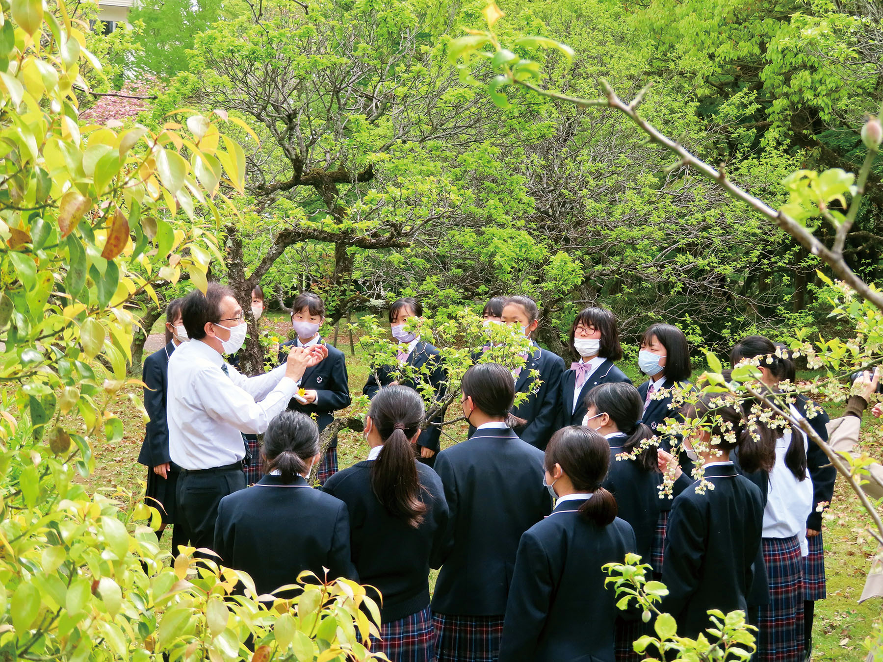 共立女子第二中学校